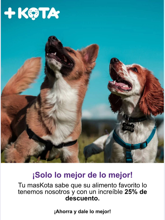 🐕Solo lo mejor de lo mejor🐈