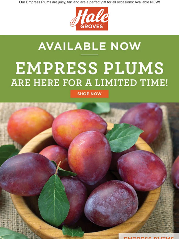 Hale Groves Available NOW Empress Plums are Here for a Limited Time