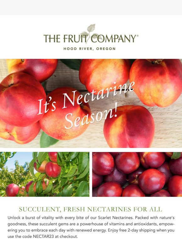 ☀️ Nectarines to Your Doorstep: Free 2-Day Shipping Offer