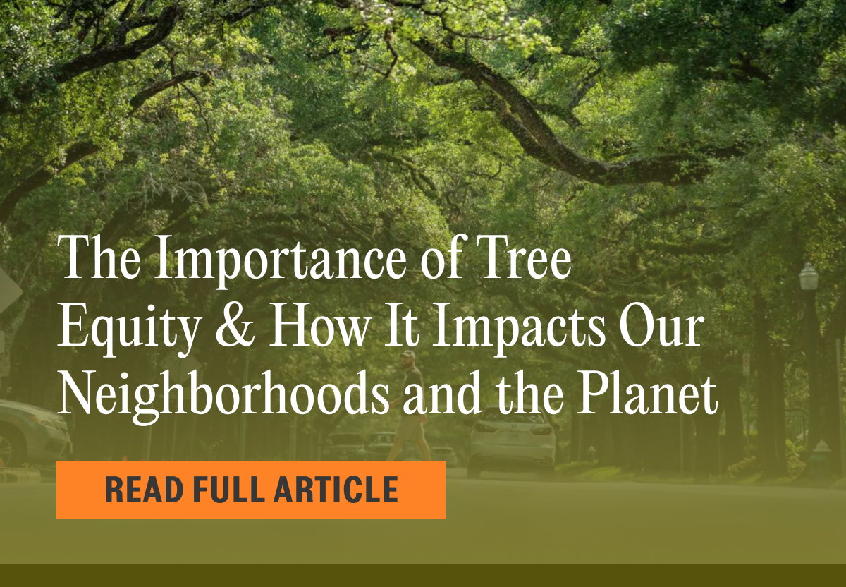 Sabai Design: 🌳 The Crucial Role of Tree Equity in Our Neighborhoods ...