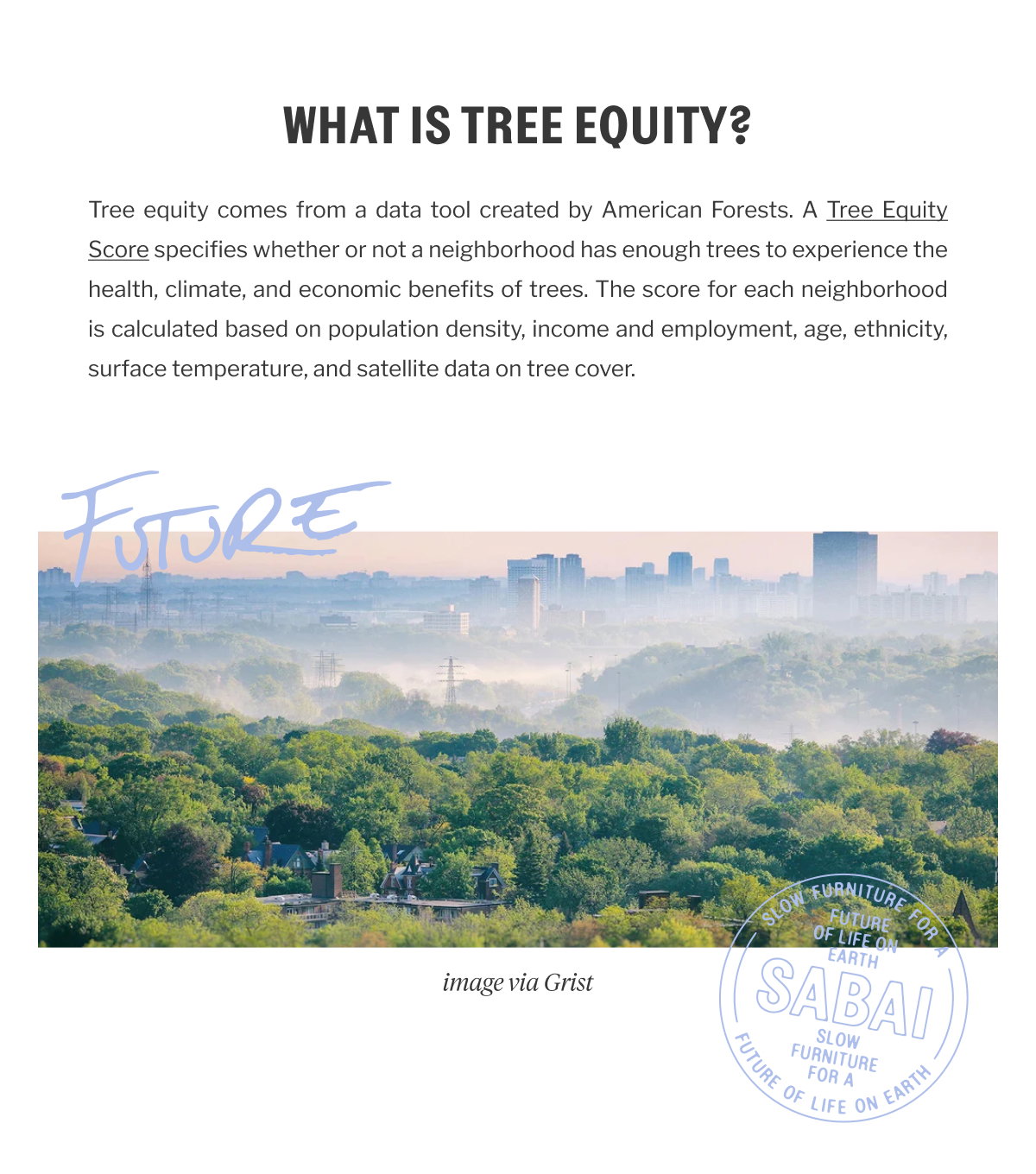 Sabai Design: 🌳 The Crucial Role of Tree Equity in Our Neighborhoods ...
