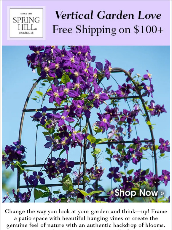 Spring Hill Nursery Create a Genuine Feel of Nature Milled