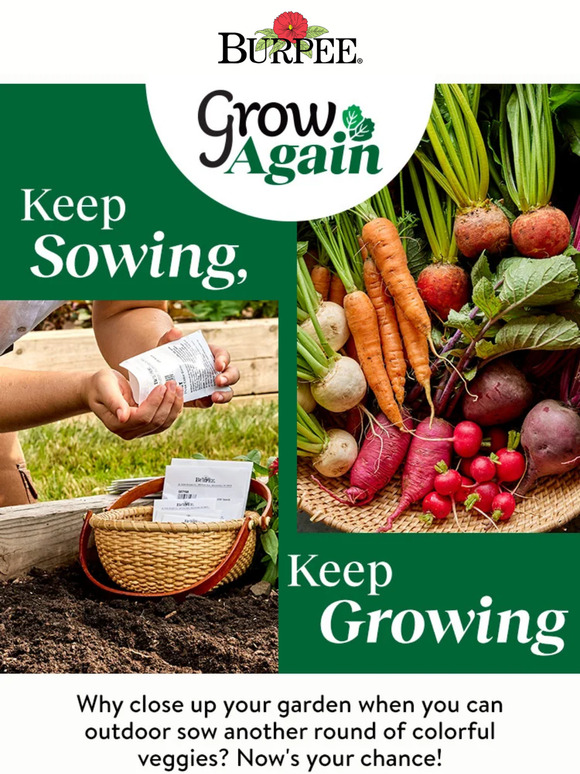 Burpee Gardening Sow a second summer Milled