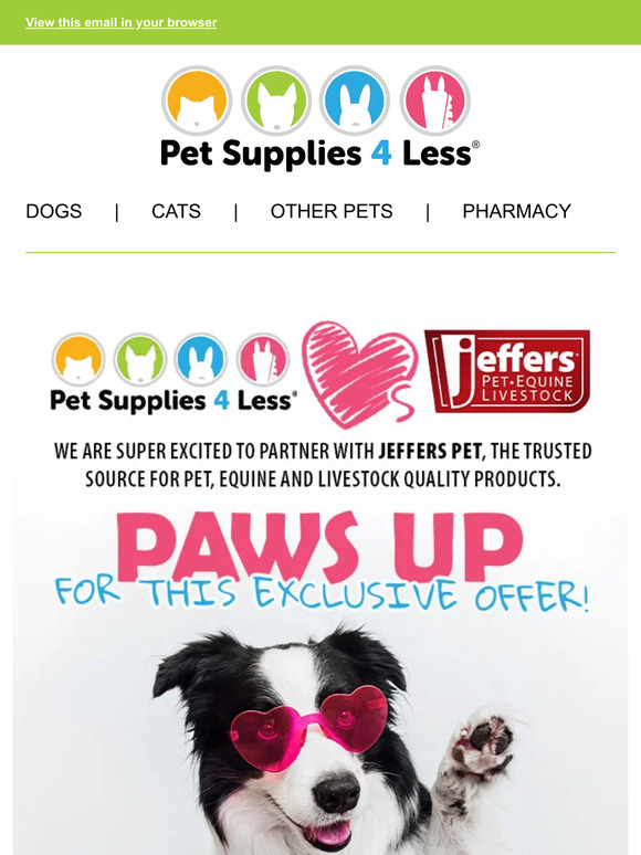 — 🐶 Paws Up for This Exclusive Offer!