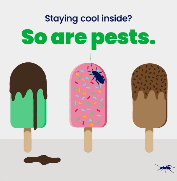 Staying cool inside? So are pests.