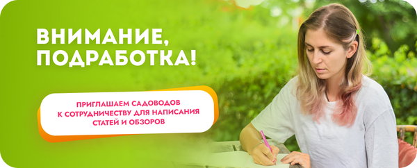 Внимание, подработка!.jpg