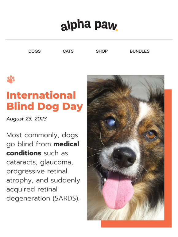Today is International Blind Dog Day...🐶