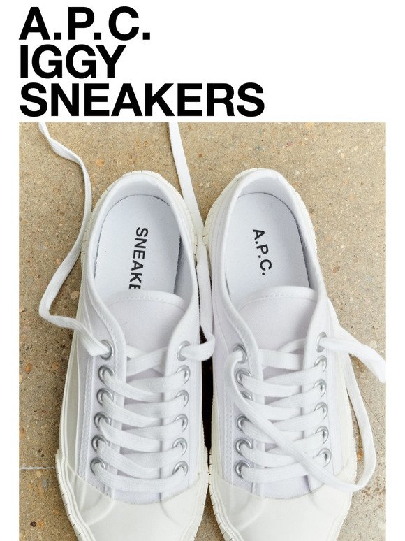 Iggy Sneakers