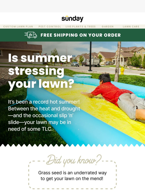 Need a summer lawn rX?