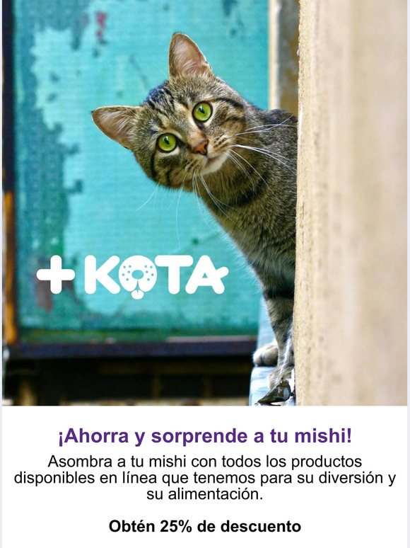 Ahorra y sorprende a tu mushi🐈