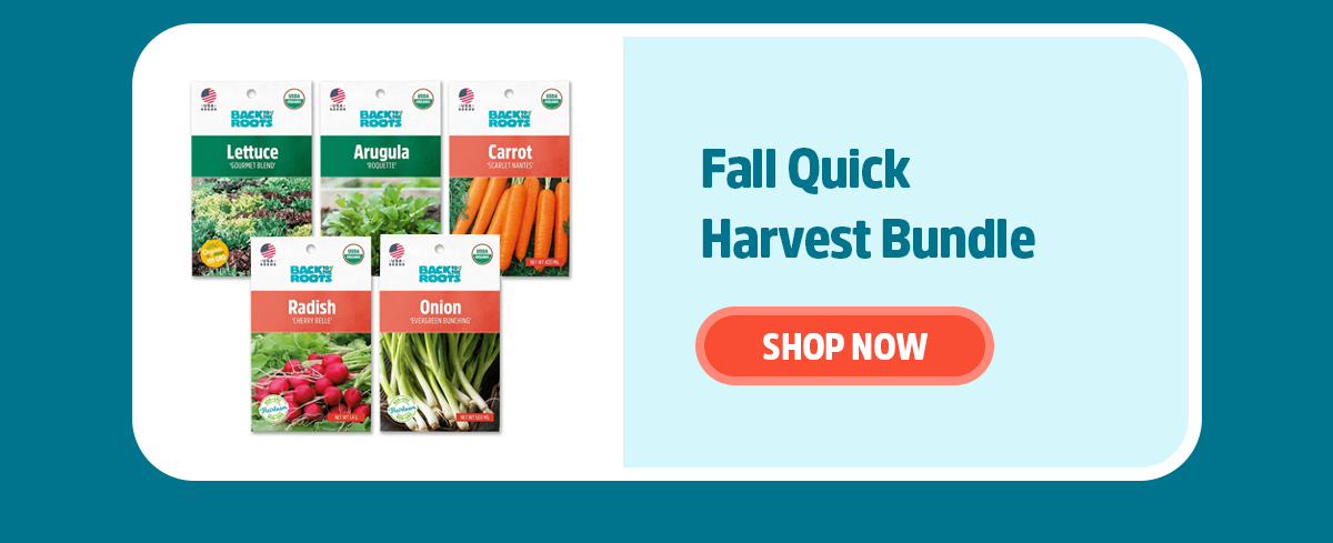 FALL QUICK HARVST BUNDLE