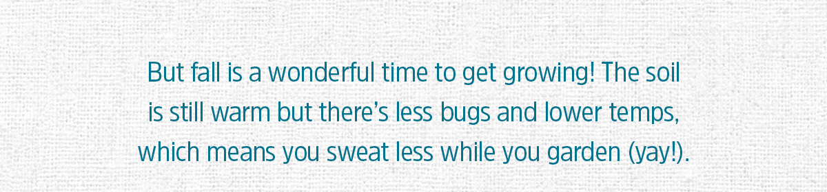 BUT FALL IS A WONDERFUL TIME TO GET GROWING! THE SOIL IS STILL WARM BUT THERE'S LESS BUGS AND LOWER TEMPS, WHICH MEANS YOU SWEAT LESS WHILE YOU GARDEN (YAY!)