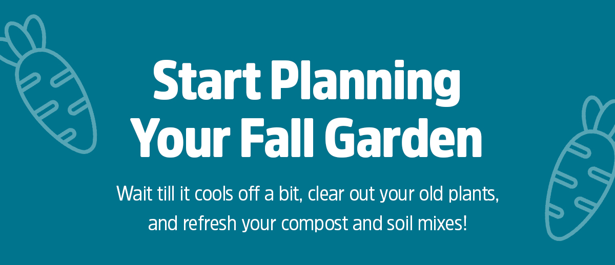 START PLANNING YOUR FALL GARDEN WAIT TILL IT COOLS OFF A BIT, CLEAR OUT YOUR OLD PLANTS, AND REFRESH YOUR COMPOST  AND SOIL MIXES