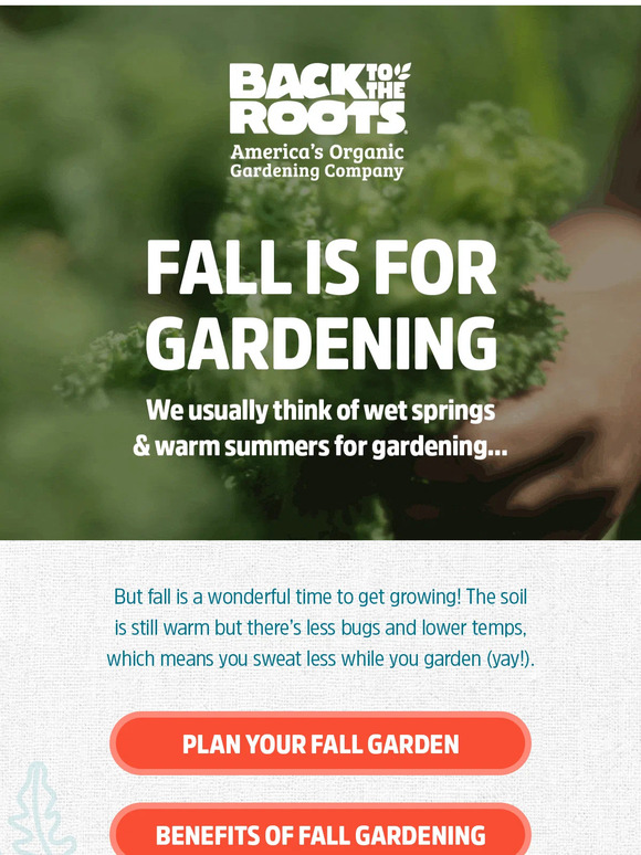 Are you planning your Fall garden yet? 🍂