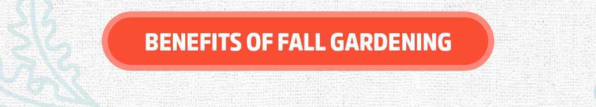 BENEFITS OF FALL GARDENING