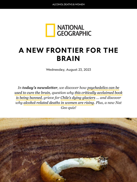 Will psychedelics help Alzheimer’s and Parkinson's? Plus, why are more women than ever before dying from alcohol?
