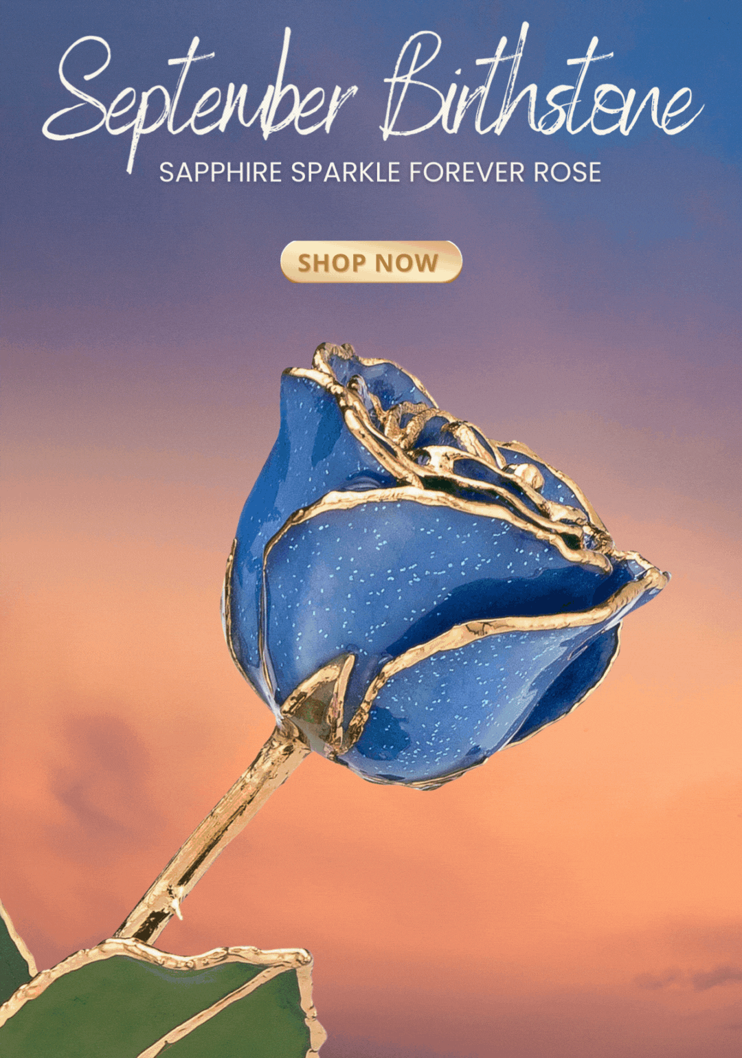 The Forever Rose Your September Birthday Wish Granted Milled