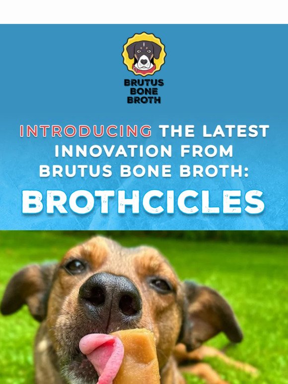 Our Brothcicles Are Here! 🧊🐶