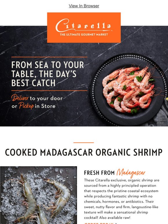 Our Madagascar Shrimp – Delivered Overnight!
