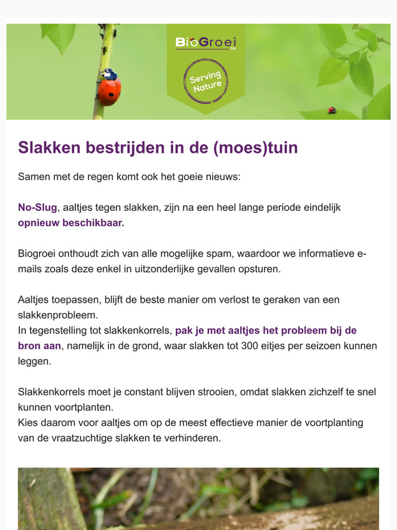 🐞 Slakken bestrijden in de (moes)tuin.