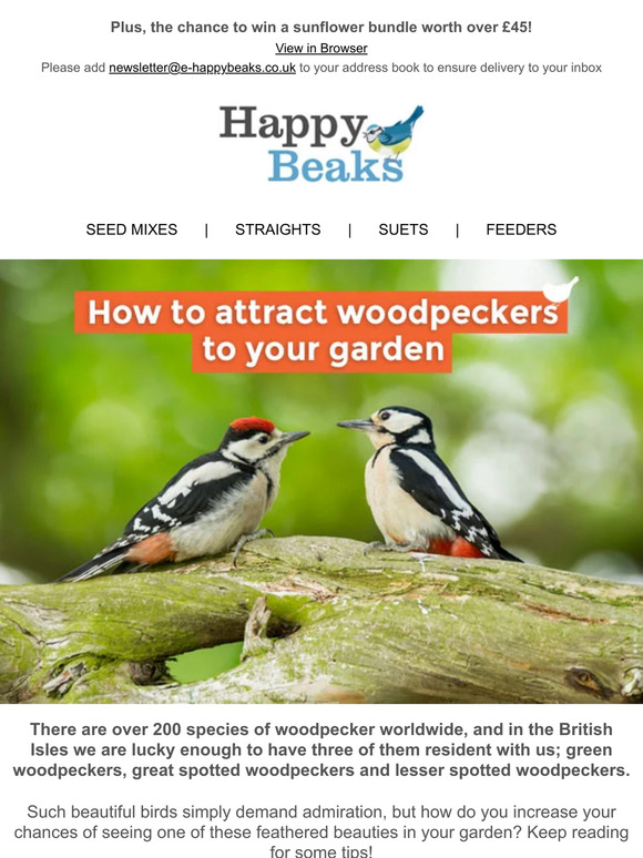 Happy Beaks: How to attract woodpeckers to your garden | Milled