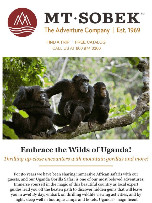 Embrace the Wilds of Uganda!