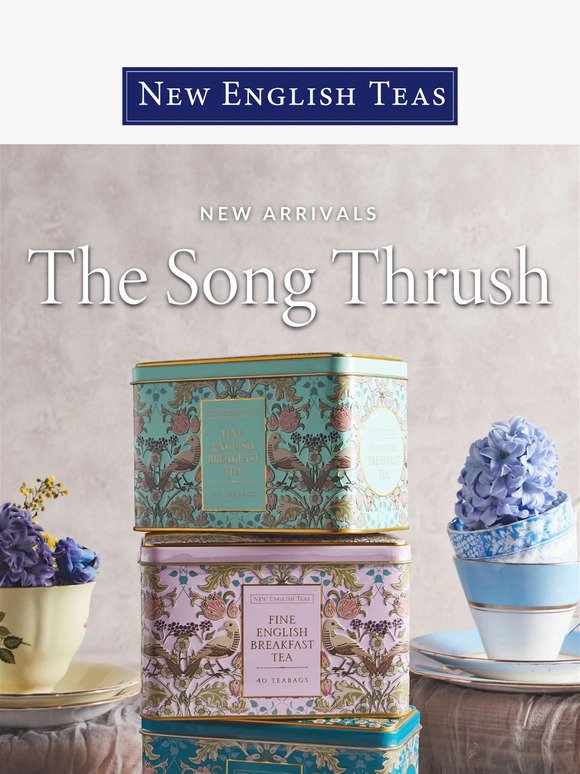 The Song Thrush 🐥