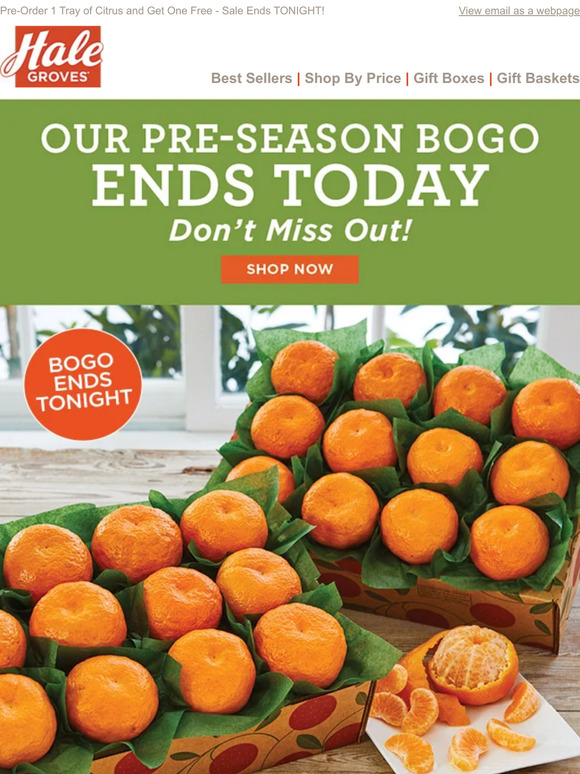 Hale Groves Our PreSeason BOGO is Here Buy 1 Tray Get 1 Free is