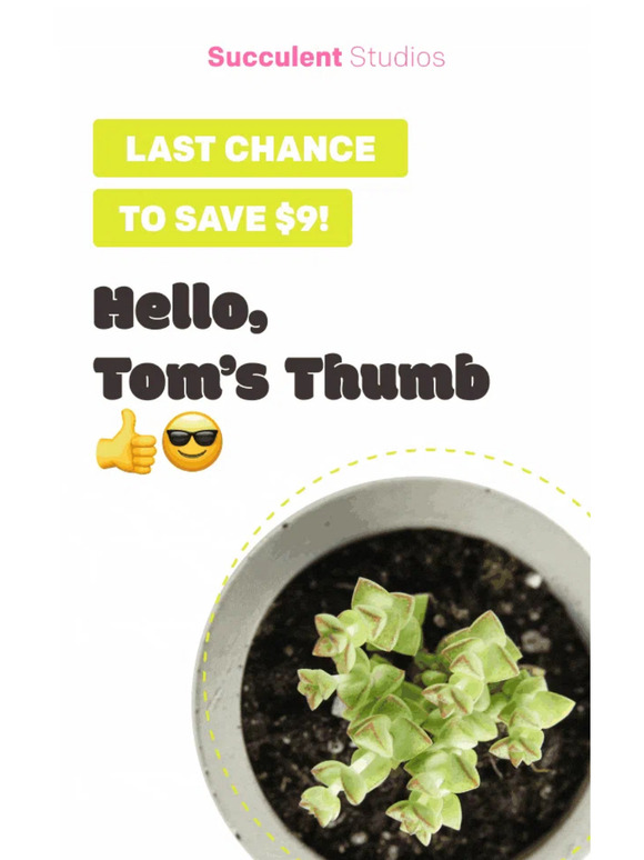 🚨💥 Final Hours for $9 OFF!