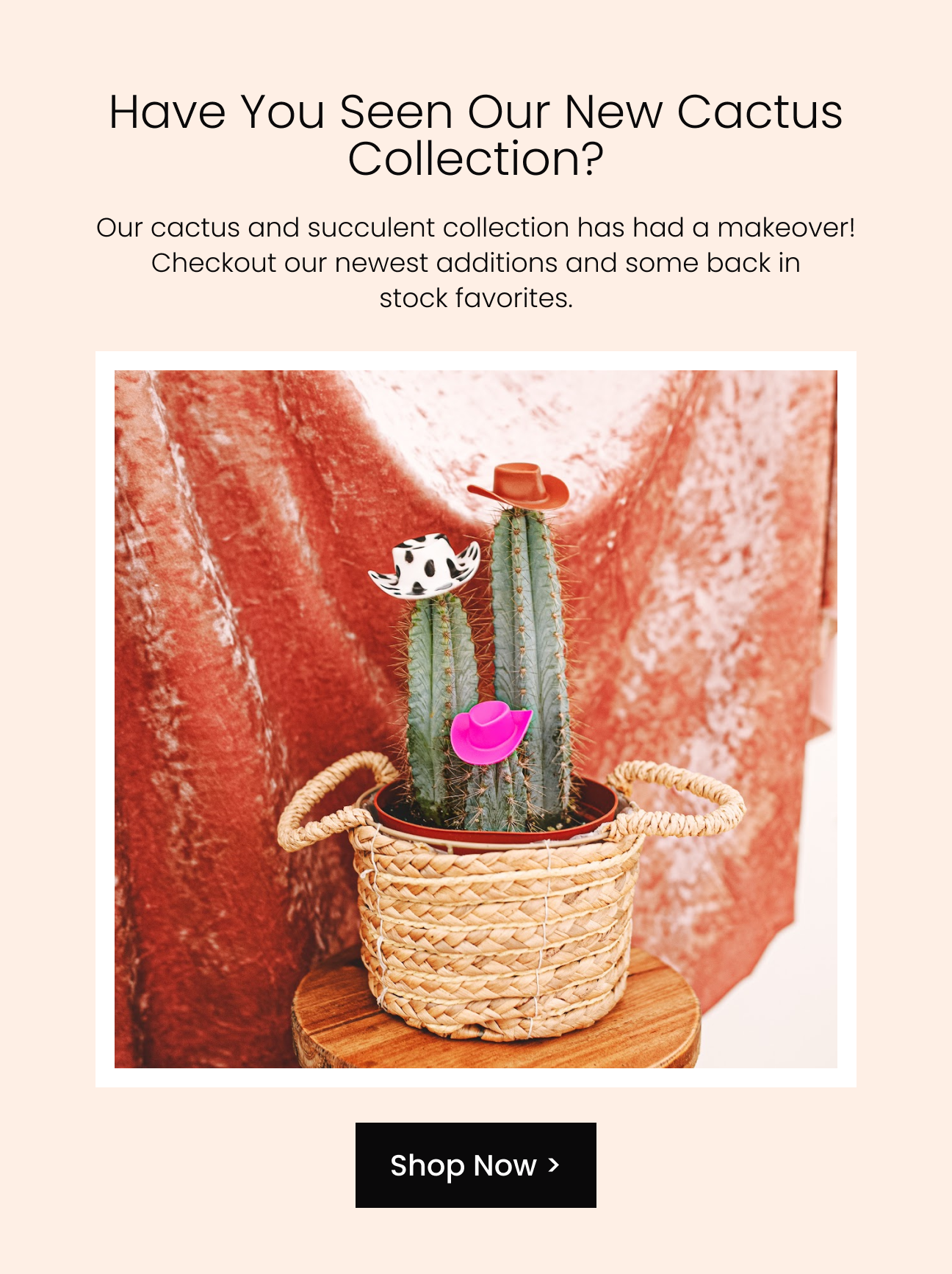 Shop the cactus collection