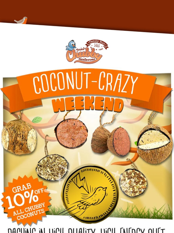 We've Gone CoCo NUTS! - 10% OFF ALL Chubby Coconuts