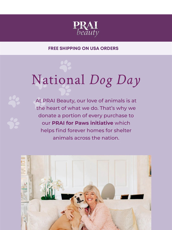 Shop our cruelty-free faves for National Dog Day 🐾