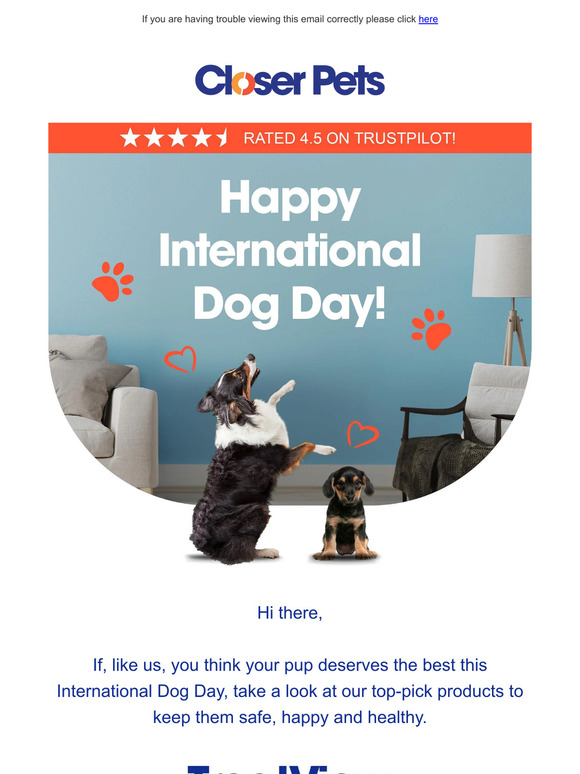Dog lover, it’s time to celebrate your precious pup