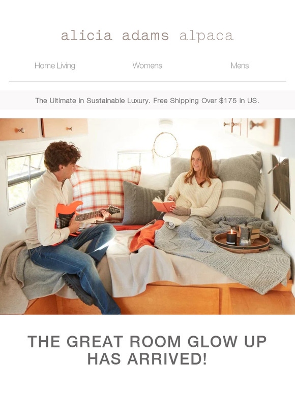 🛋️ Great Room Glow-Up. Accent Your Space with the King Field Pillow