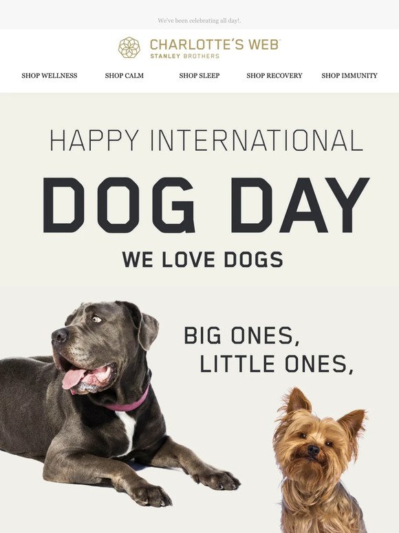 Did you celebrate International Dog Day?