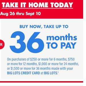 Big Lots Credit Card