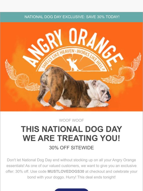 Celebrate National Dog Day with a 30% Discount! 🐾
