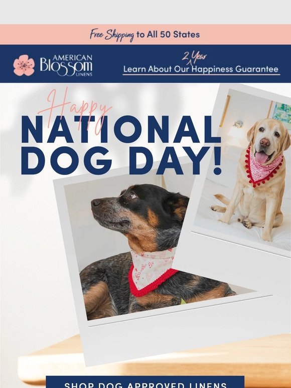 Happy National Dog Day! 🐶