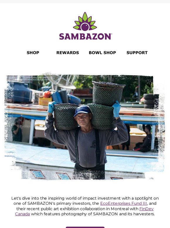 Exploring Impact Investment With SAMBAZON 🛠