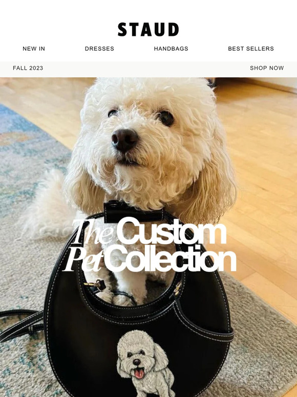 CALLING ALL PET LOVERS