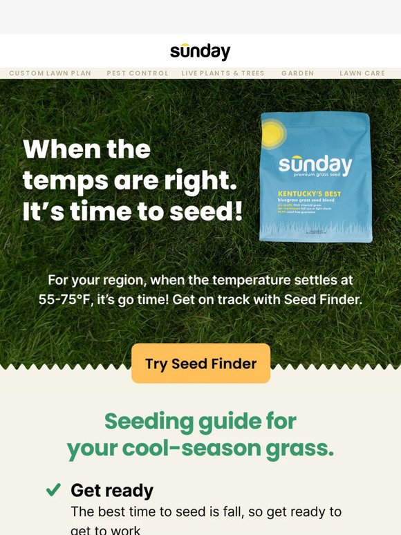 🤔 When should you seed your lawn?