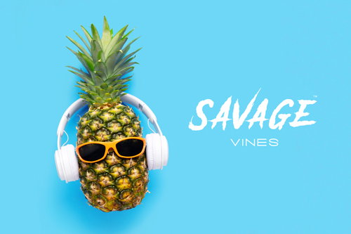 Vegan Playlist