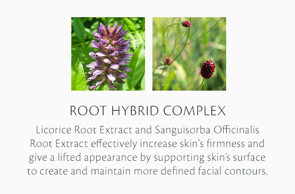 Root Hybrid Complex. | Licorice Root Extract and Sanguisorba Officinalis Root Extract Effectively Increase Skin's Firmness and Give A Lifted Appearance By Supporting Skin’s Surface To Create And Maintain More Defined Facial Contours.