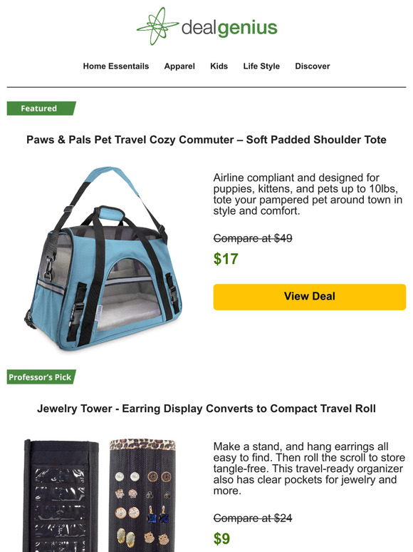 Pet-Friendly Travel Made Easy