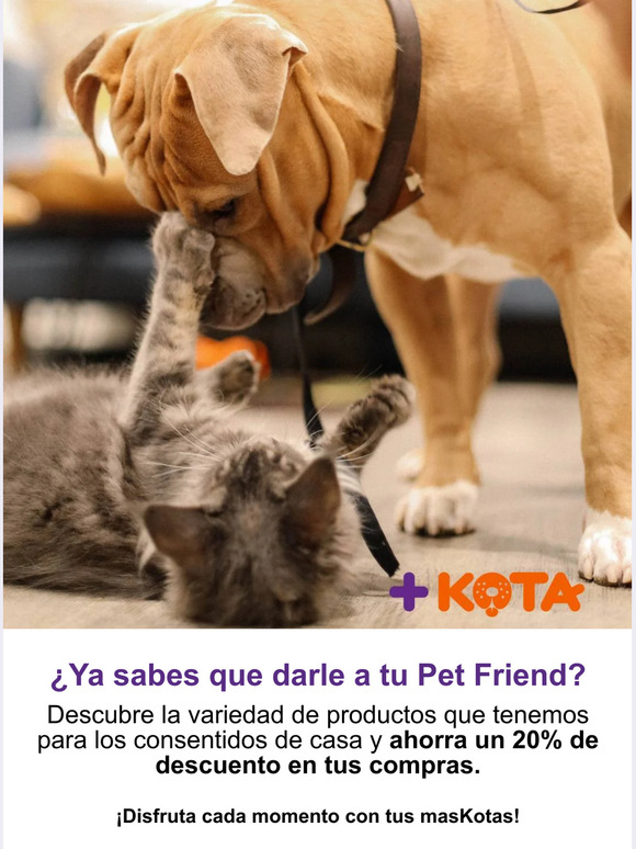 🐕¿Ya sabes qué darle a tu Pet Friend?🐈