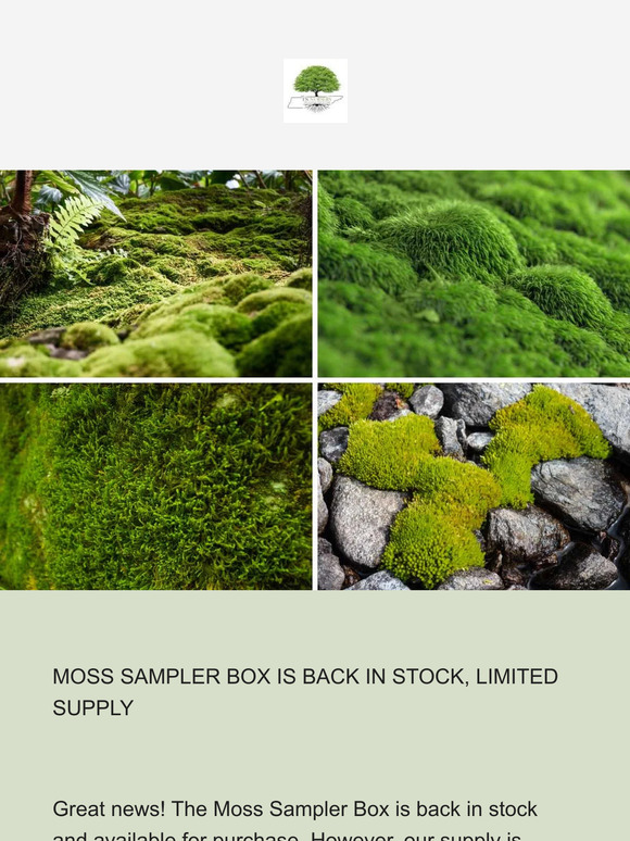 Garden Delights Nursery: Moss Sampler Box, Back In Stock | Milled