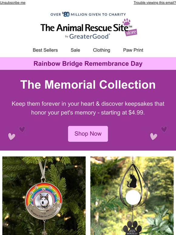 The Animal Rescue Site: 🌈 It's Rainbow Bridge Remembrance Day | Milled