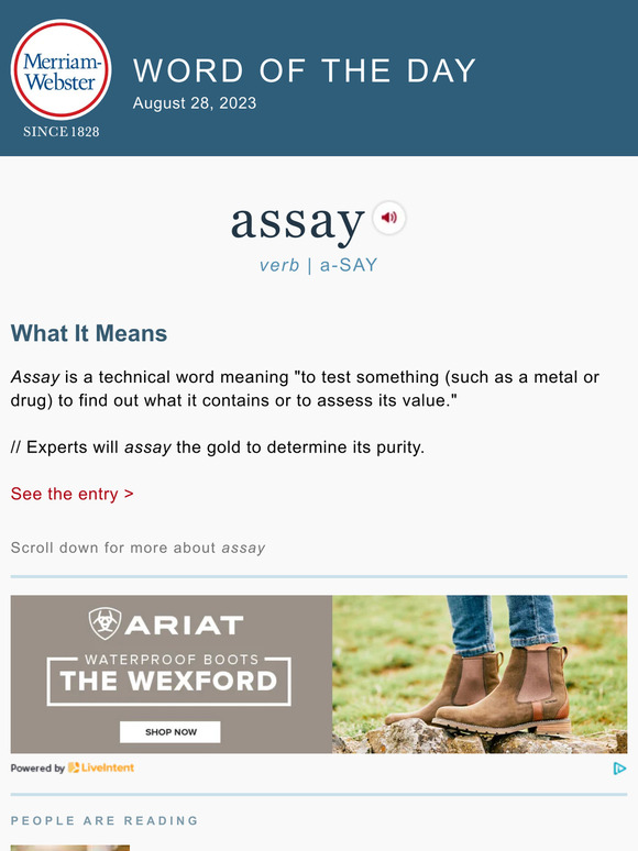 essay meaning in merriam webster