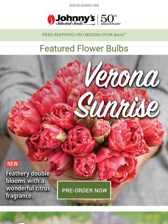 Pre-Order Flower Bulbs Before They're Gone