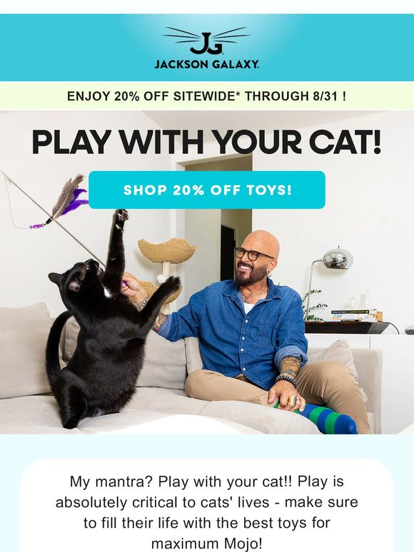 Cat Play All Day with 20% OFF!